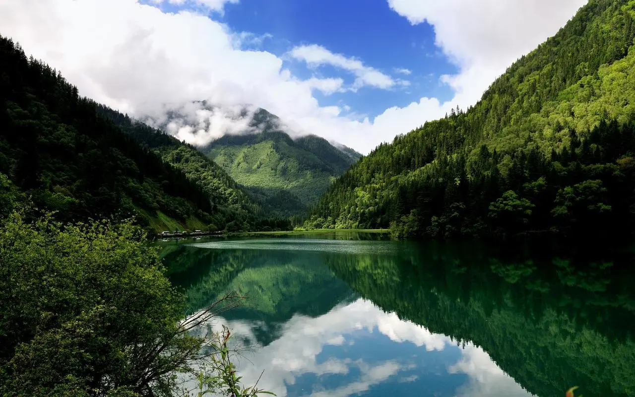 胶水印迹怎么去除
